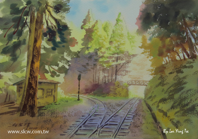 Fork of Two Tracks on the Railway